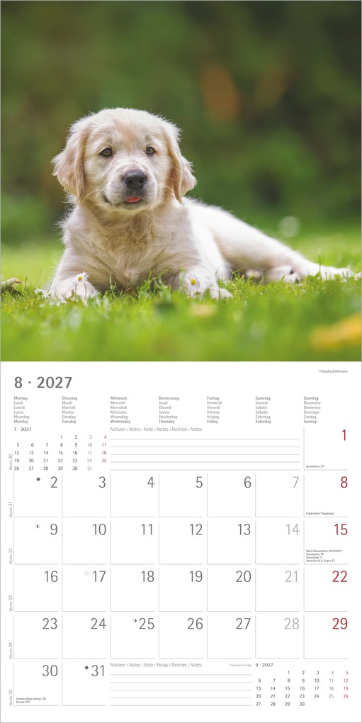 Weitere Ansicht: Hunde 2027 | Neumann Verlage GmbH & Co. KG