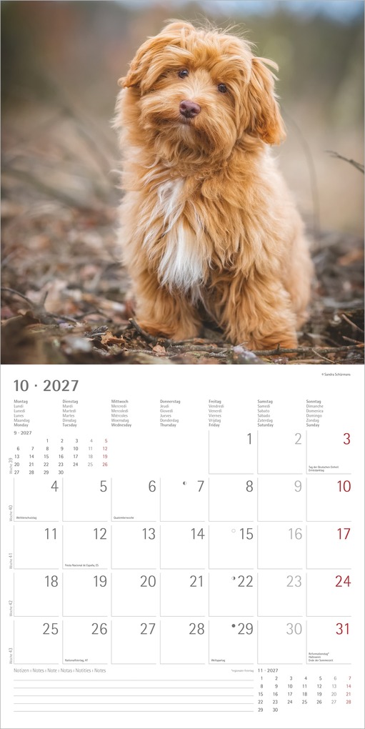 Weitere Ansicht: Hunde 2027 | Neumann Verlage GmbH & Co. KG