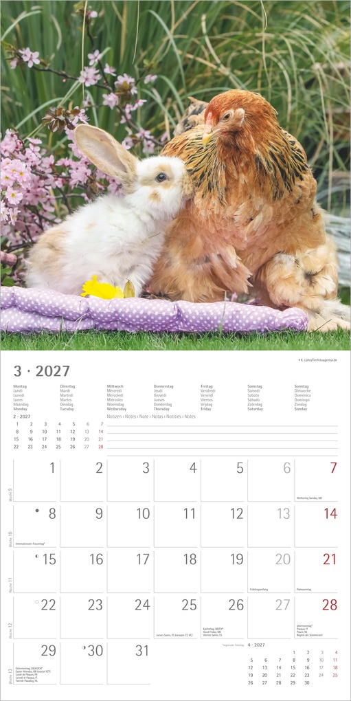 Weitere Ansicht: Tierfreundschaften 2027 | Neumann Verlage GmbH & Co. KG