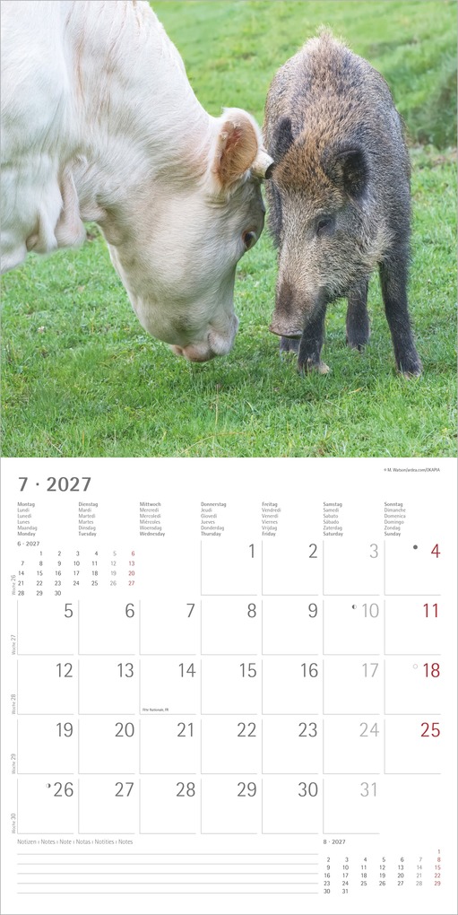 Weitere Ansicht: Tierfreundschaften 2027 | Neumann Verlage GmbH & Co. KG