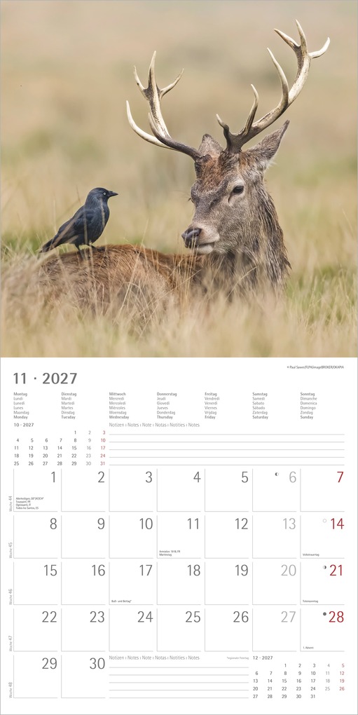 Weitere Ansicht: Tierfreundschaften 2027 | Neumann Verlage GmbH & Co. KG