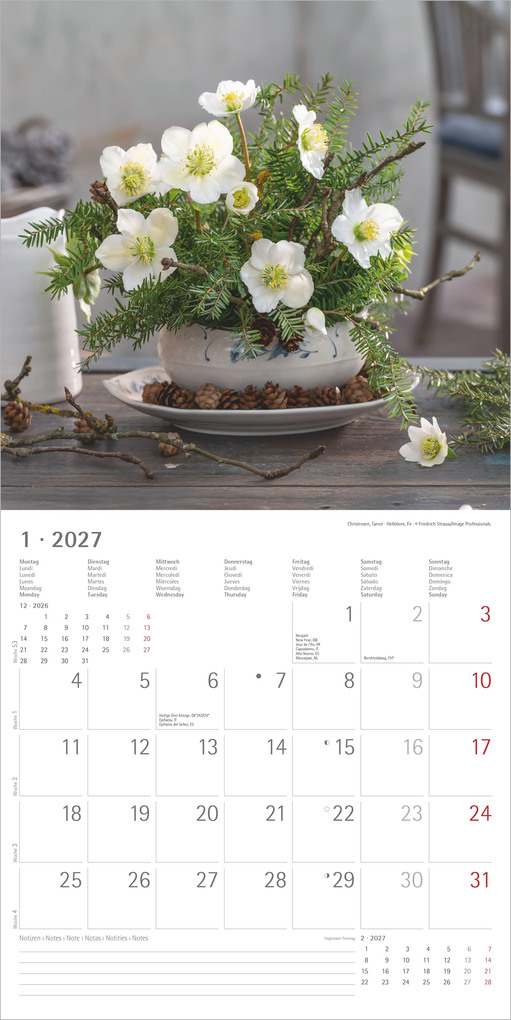 Weitere Ansicht: Blumenträume 2027 | Neumann Verlage GmbH & Co. KG