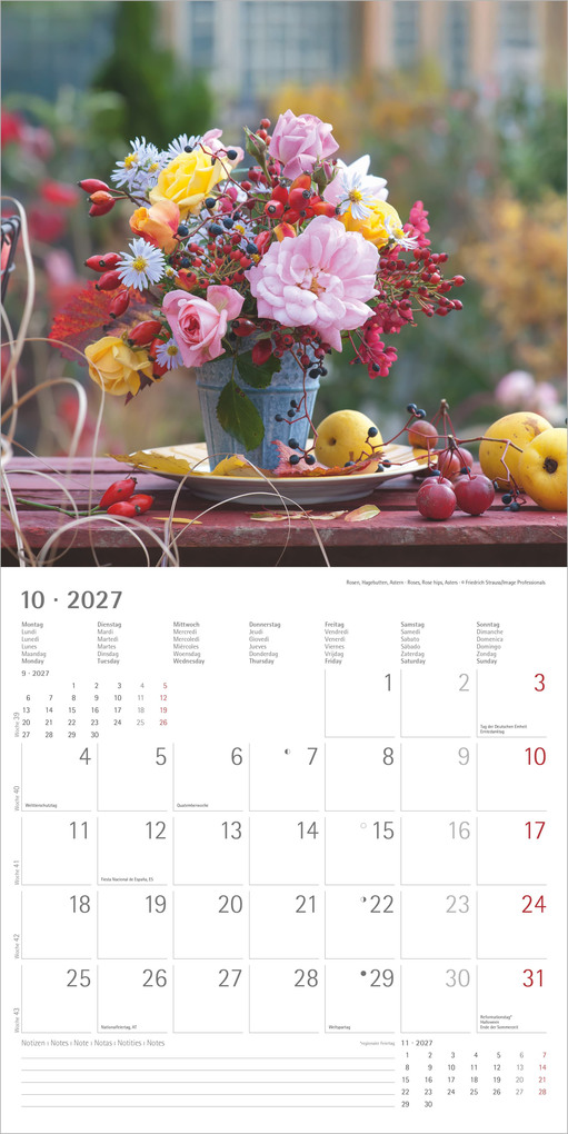 Weitere Ansicht: Blumenträume 2027 | Neumann Verlage GmbH & Co. KG