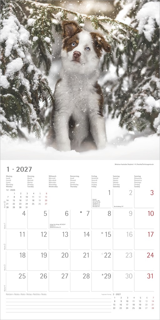 Weitere Ansicht: Welpen 2027 | Neumann Verlage GmbH & Co. KG