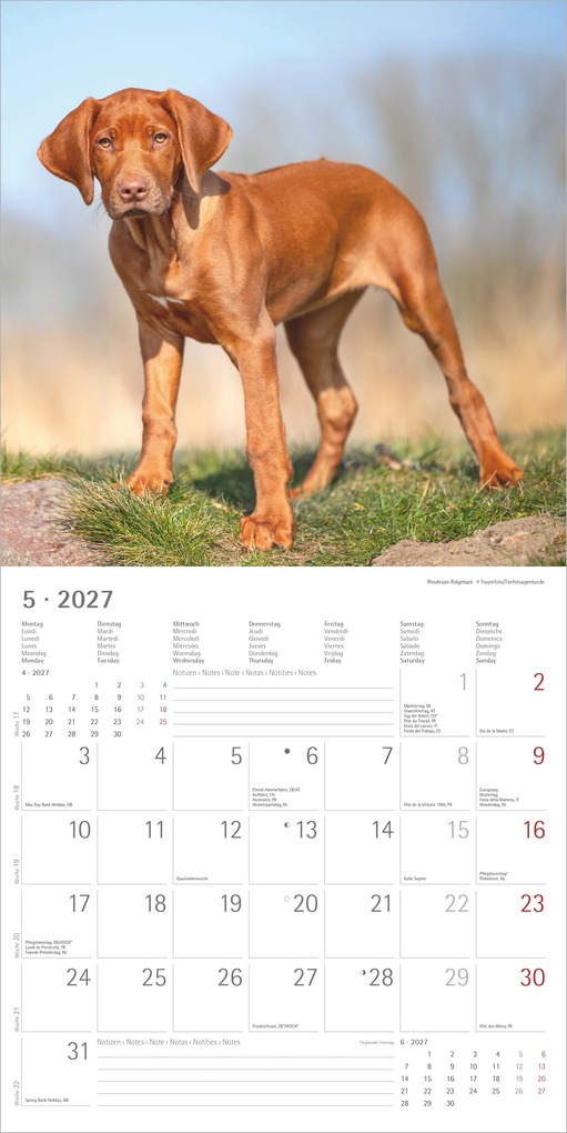 Weitere Ansicht: Welpen 2027 | Neumann Verlage GmbH & Co. KG