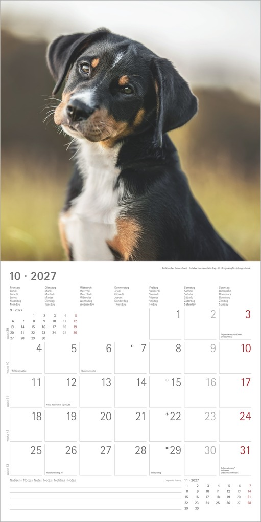 Weitere Ansicht: Welpen 2027 | Neumann Verlage GmbH & Co. KG