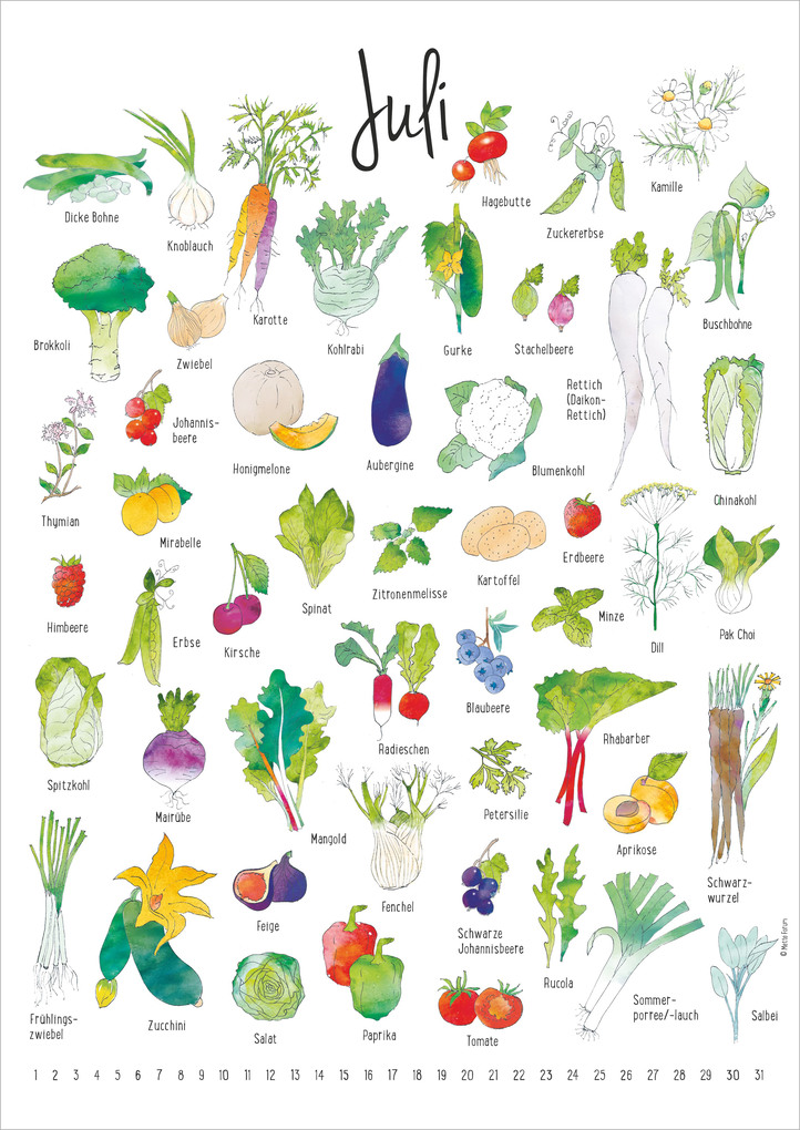 Weitere Ansicht: Der Saisonkalender | Neumann Verlage GmbH & Co. KG