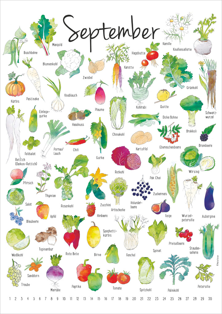 Weitere Ansicht: Der Saisonkalender | Neumann Verlage GmbH & Co. KG