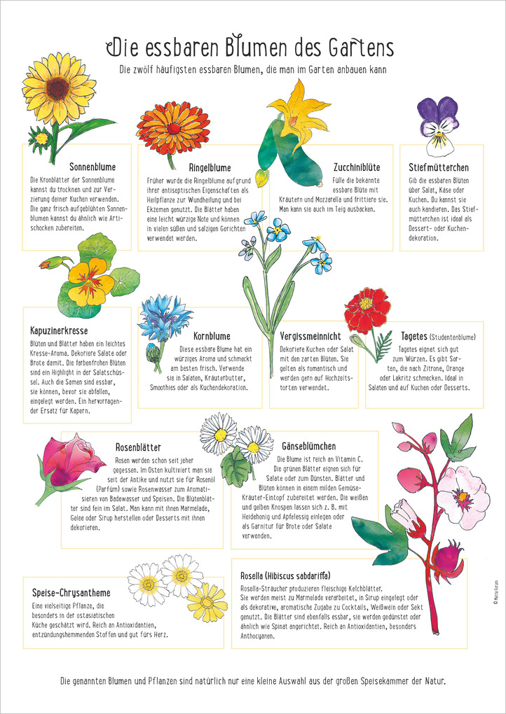 Weitere Ansicht: Der Saisonkalender | Neumann Verlage GmbH & Co. KG