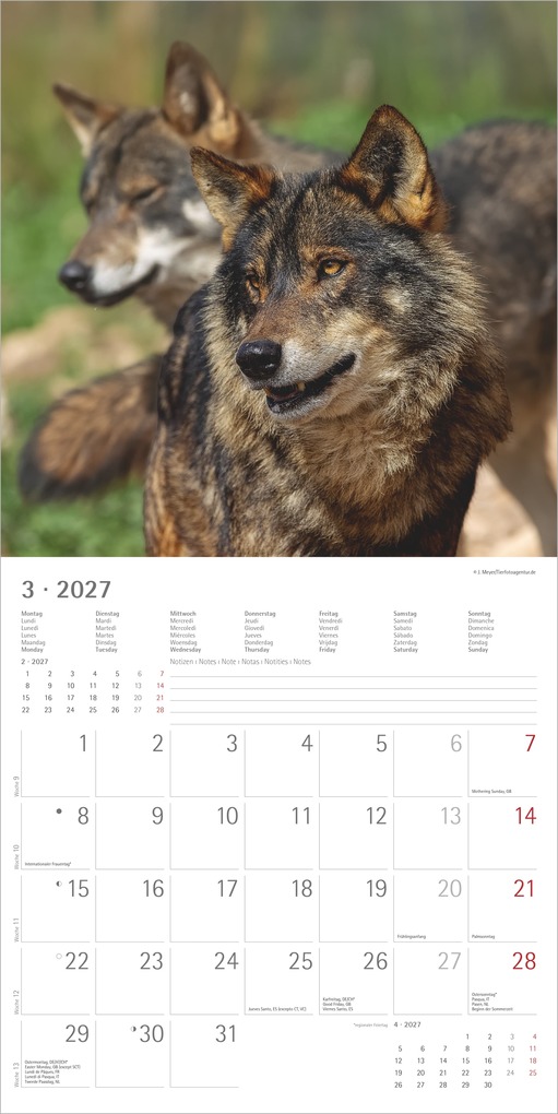 Weitere Ansicht: Wölfe 2027 | Neumann Verlage GmbH & Co. KG