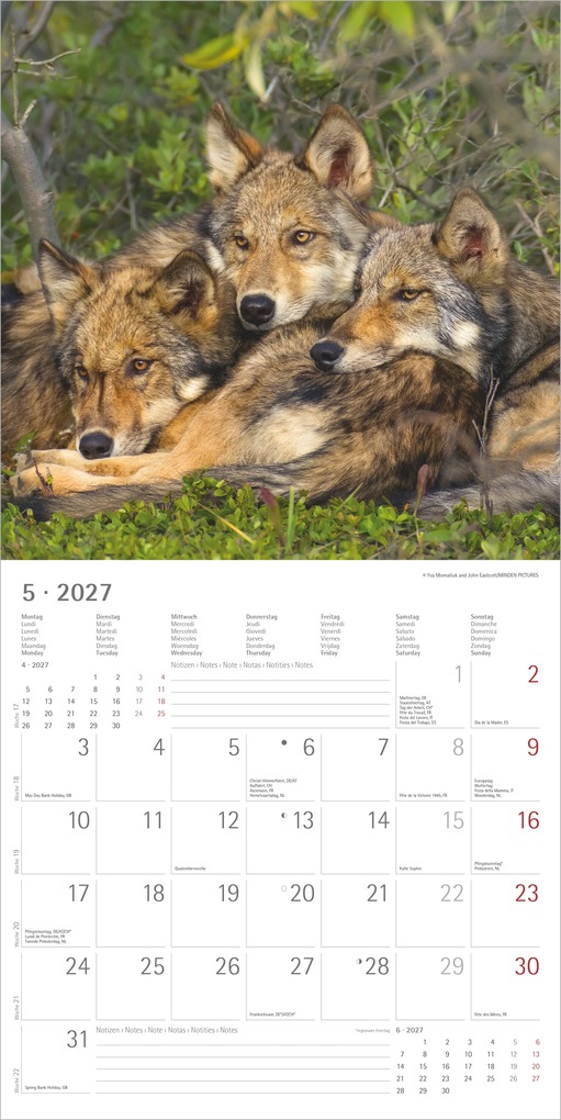 Weitere Ansicht: Wölfe 2027 | Neumann Verlage GmbH & Co. KG