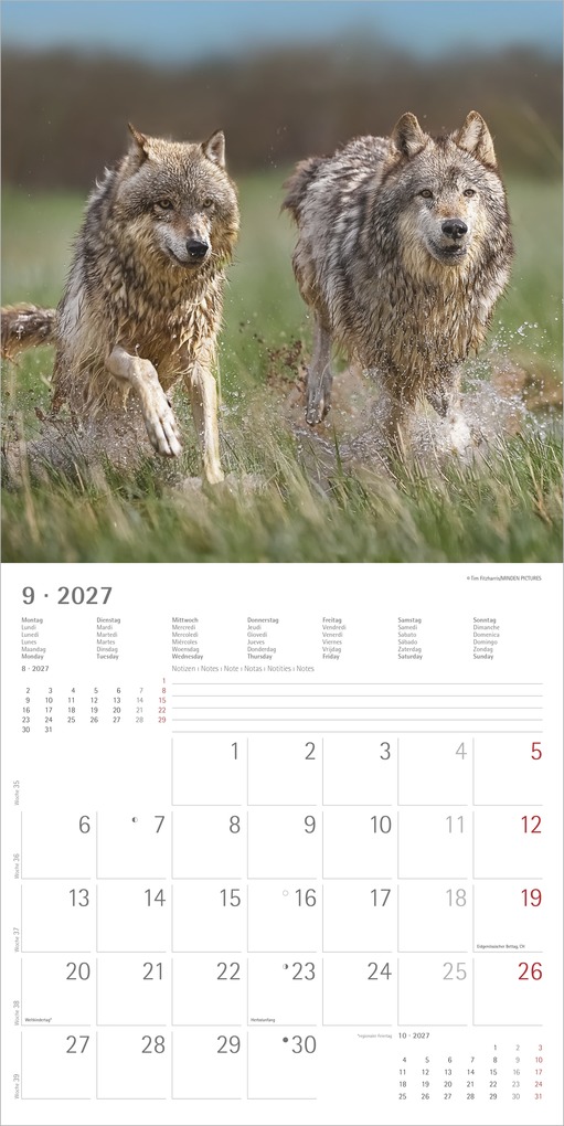 Weitere Ansicht: Wölfe 2027 | Neumann Verlage GmbH & Co. KG