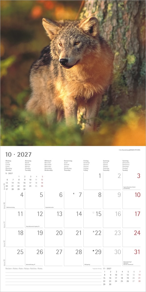 Weitere Ansicht: Wölfe 2027 | Neumann Verlage GmbH & Co. KG