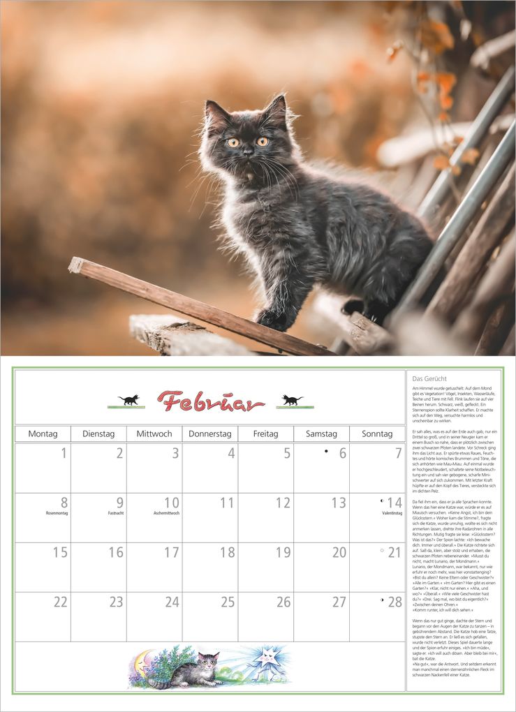Weitere Ansicht: DuMonts Katzen Kalender 2027 | Neumann Verlage GmbH & Co. KG