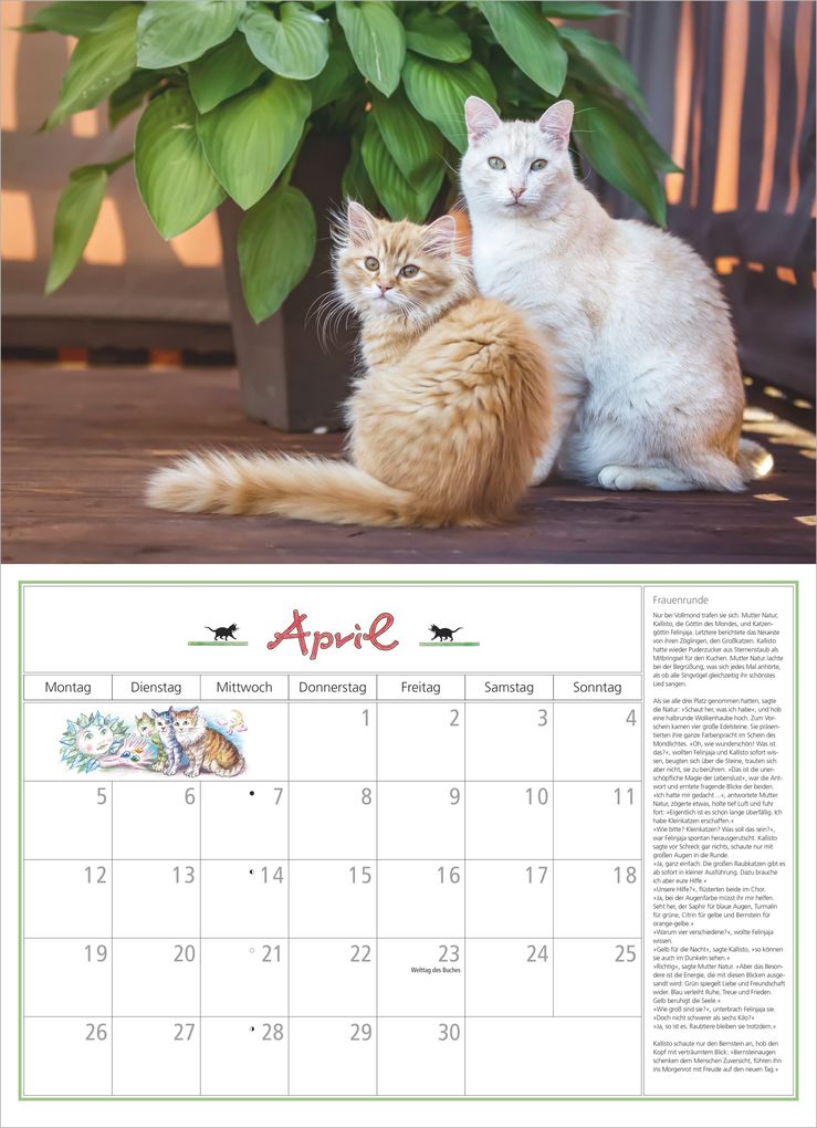Weitere Ansicht: DuMonts Katzen Kalender 2027 | Neumann Verlage GmbH & Co. KG