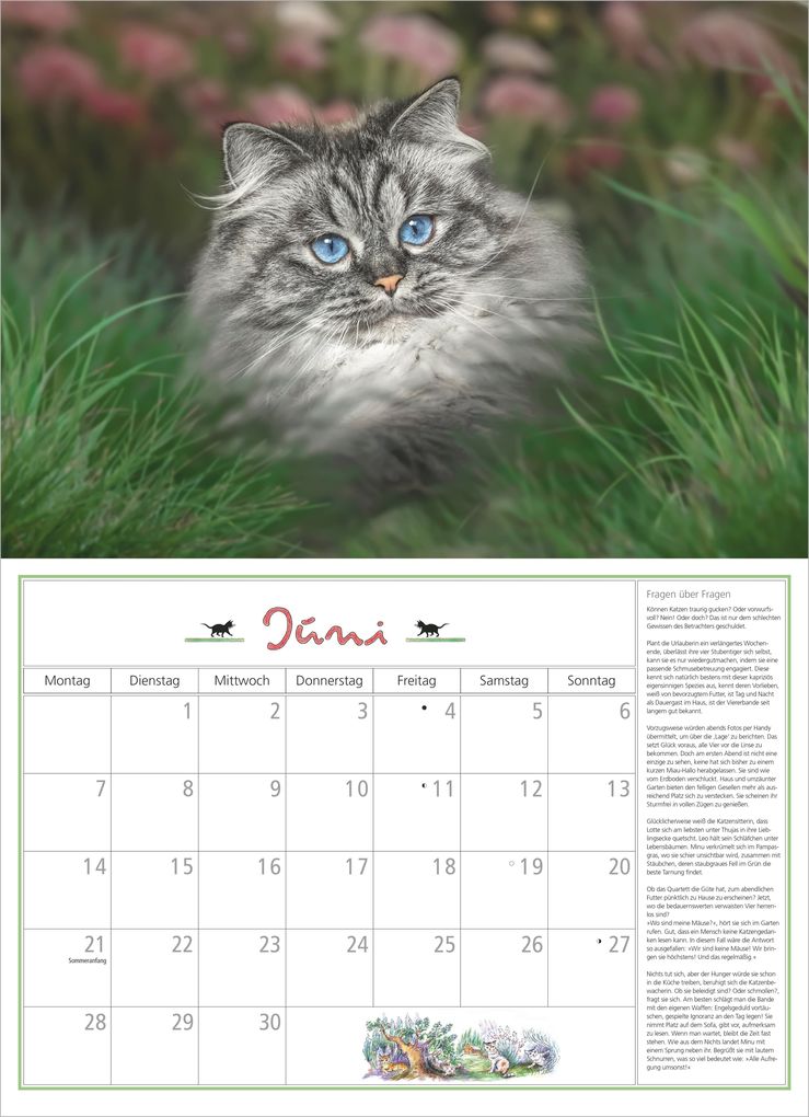 Weitere Ansicht: DuMonts Katzen Kalender 2027 | Neumann Verlage GmbH & Co. KG