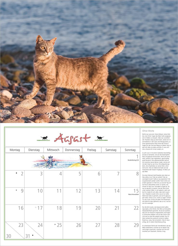 Weitere Ansicht: DuMonts Katzen Kalender 2027 | Neumann Verlage GmbH & Co. KG