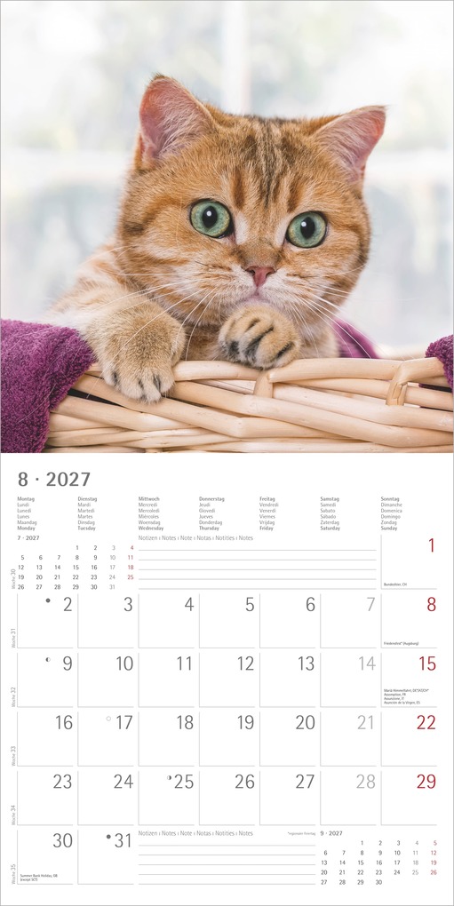 Weitere Ansicht: Katzen 2027 | Neumann Verlage GmbH & Co. KG