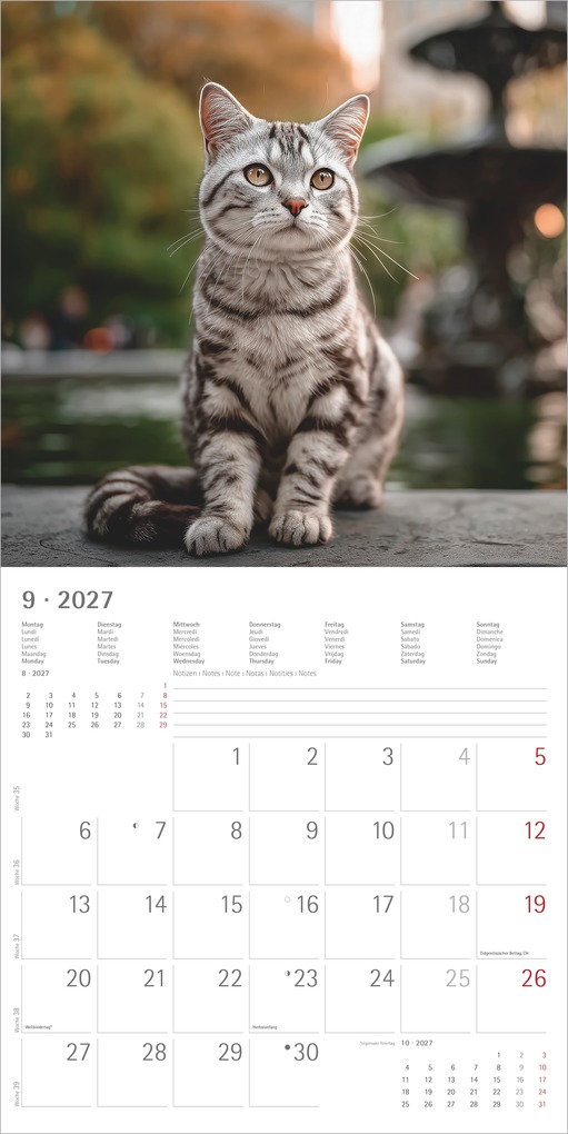 Weitere Ansicht: Katzen 2027 | Neumann Verlage GmbH & Co. KG