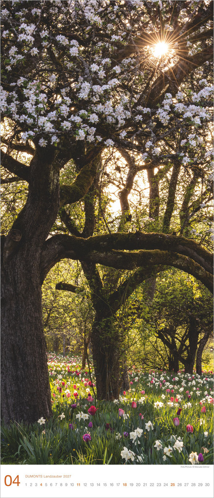Weitere Ansicht: Landzauber 2027 | Neumann Verlage GmbH & Co. KG