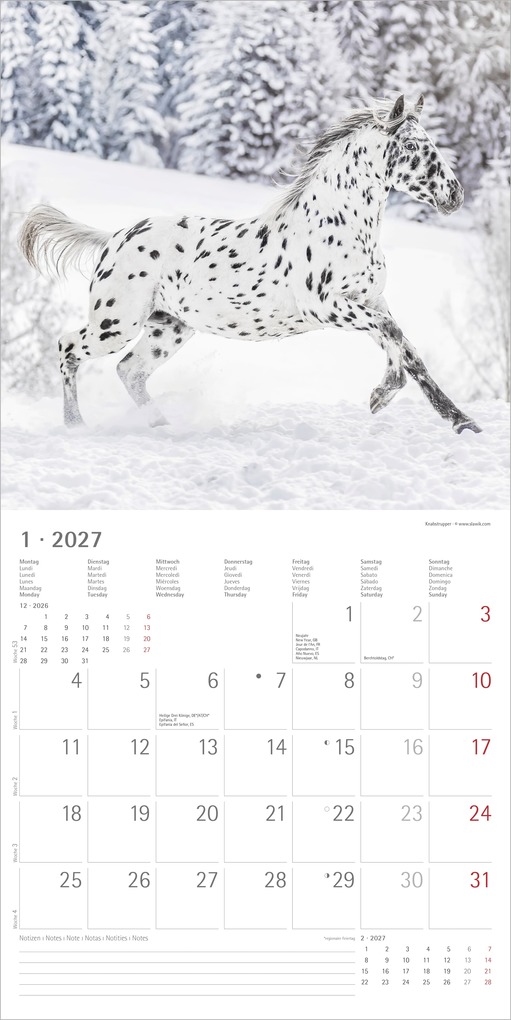 Weitere Ansicht: Pferde 2027 | Neumann Verlage GmbH & Co. KG