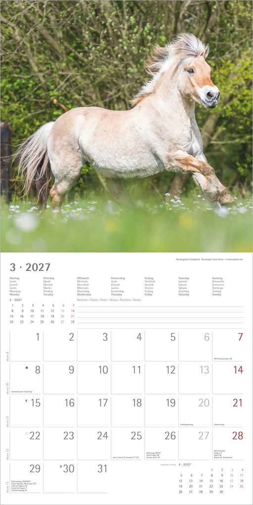 Weitere Ansicht: Pferde 2027 | Neumann Verlage GmbH & Co. KG
