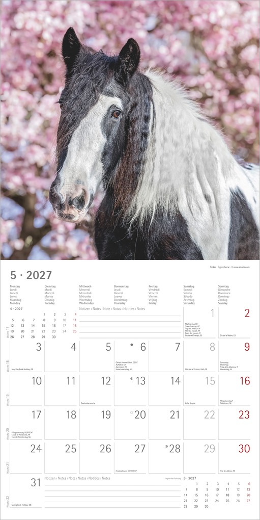 Weitere Ansicht: Pferde 2027 | Neumann Verlage GmbH & Co. KG