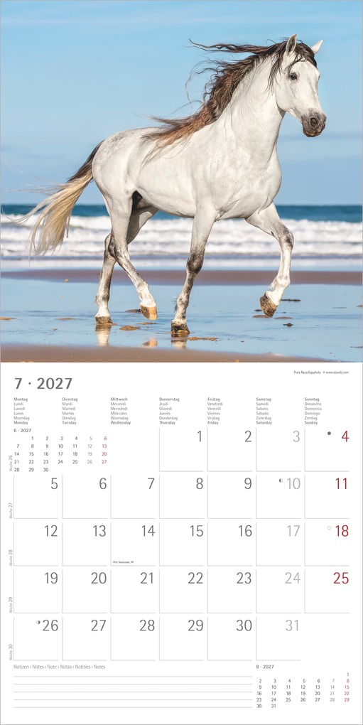 Weitere Ansicht: Pferde 2027 | Neumann Verlage GmbH & Co. KG