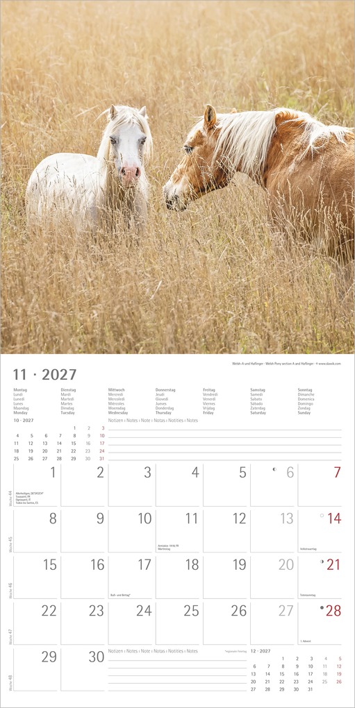 Weitere Ansicht: Pferde 2027 | Neumann Verlage GmbH & Co. KG