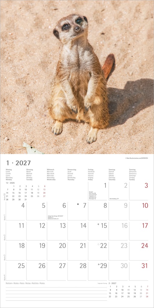 Weitere Ansicht: Erdmännchen 2027 | Neumann Verlage GmbH & Co. KG