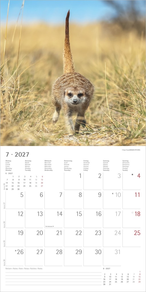 Weitere Ansicht: Erdmännchen 2027 | Neumann Verlage GmbH & Co. KG