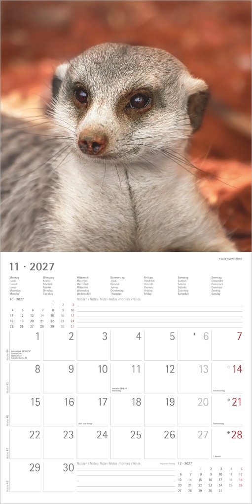 Weitere Ansicht: Erdmännchen 2027 | Neumann Verlage GmbH & Co. KG