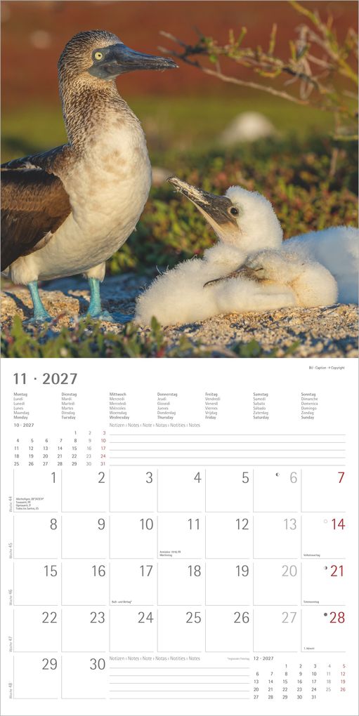 Weitere Ansicht: Tierbabys 2027 | Neumann Verlage GmbH & Co. KG