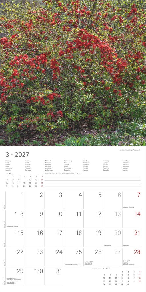 Weitere Ansicht: Gartenzauber 2027 | Neumann Verlage GmbH & Co. KG