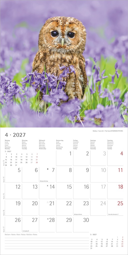 Weitere Ansicht: Eulen 2027 | Neumann Verlage GmbH & Co. KG