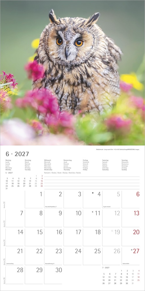 Weitere Ansicht: Eulen 2027 | Neumann Verlage GmbH & Co. KG