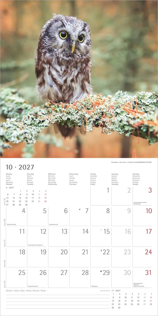 Weitere Ansicht: Eulen 2027 | Neumann Verlage GmbH & Co. KG