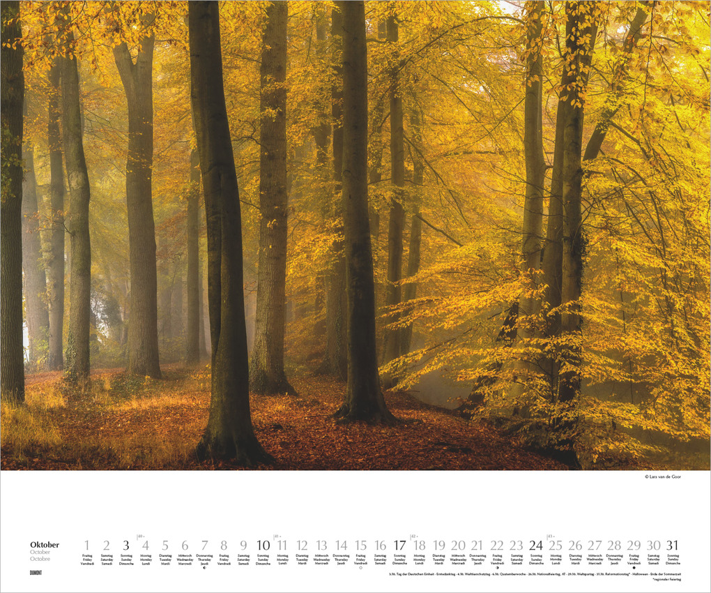 Weitere Ansicht: Waldspaziergang 2027 | Neumann Verlage GmbH & Co. KG