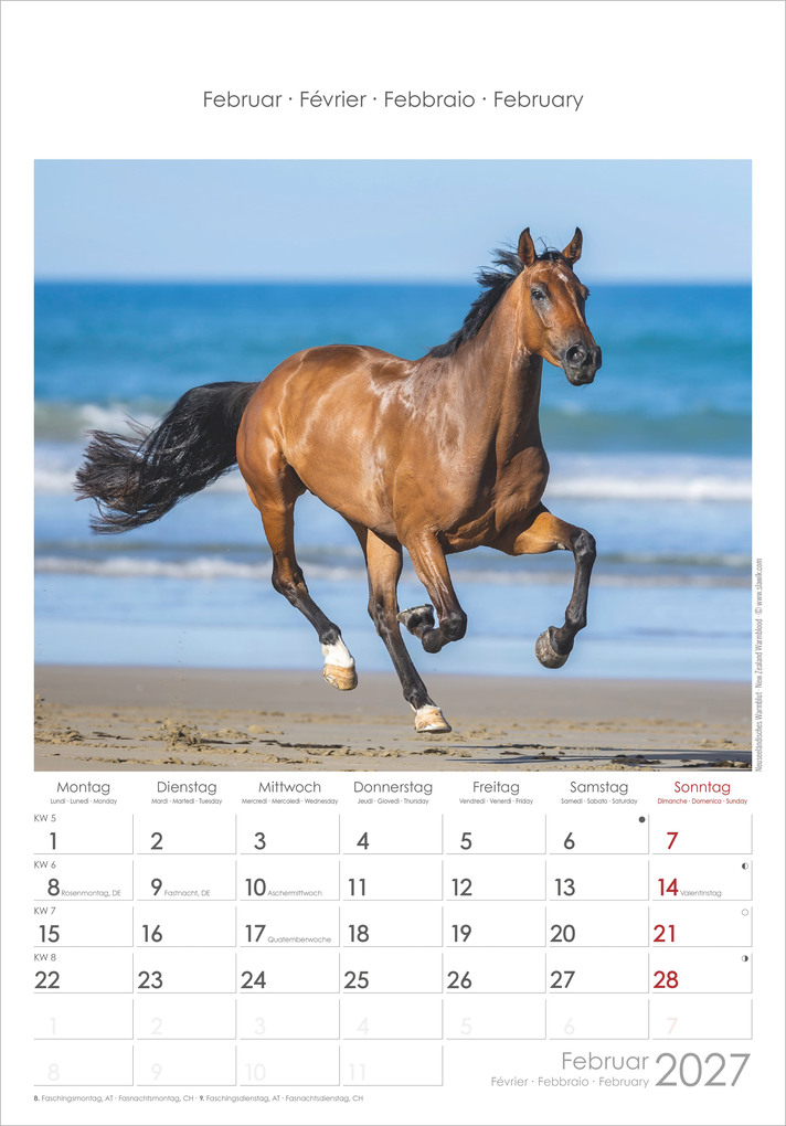 Weitere Ansicht: Pferde 2027 | Neumann Verlage GmbH & Co. KG