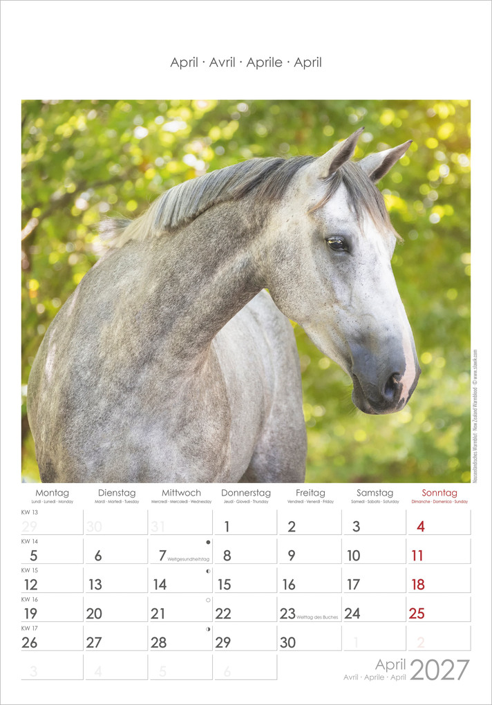 Weitere Ansicht: Pferde 2027 | Neumann Verlage GmbH & Co. KG