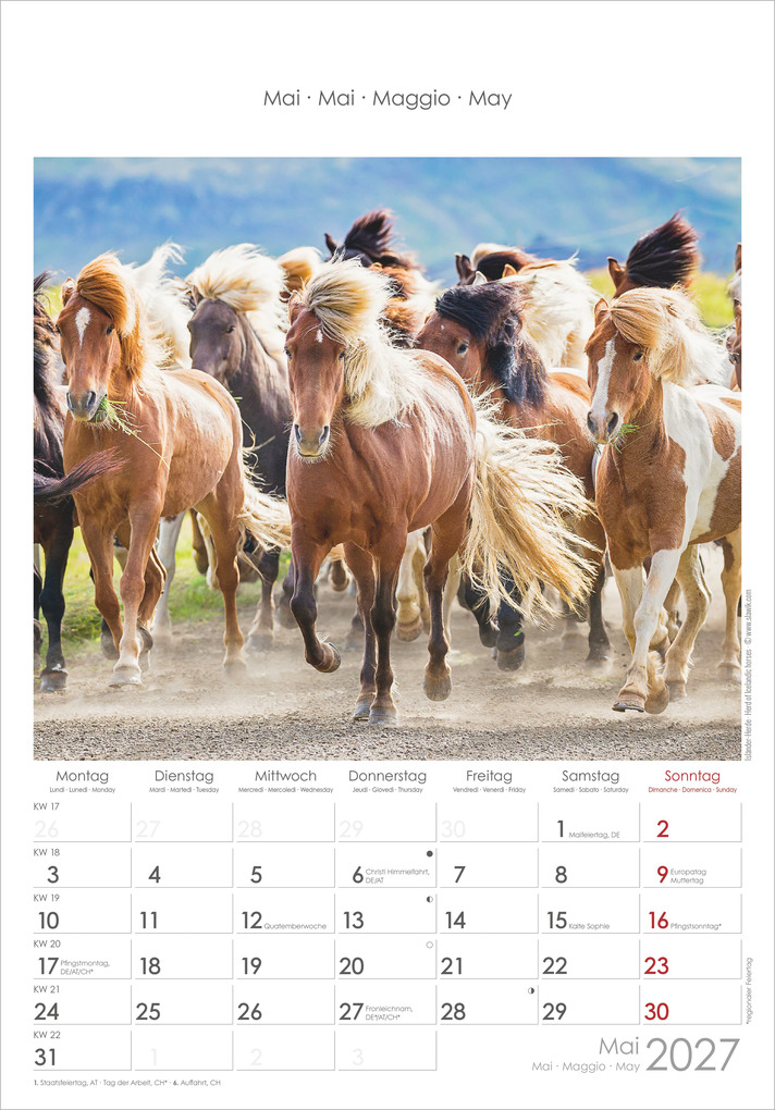 Weitere Ansicht: Pferde 2027 | Neumann Verlage GmbH & Co. KG