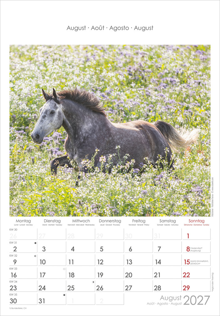 Weitere Ansicht: Pferde 2027 | Neumann Verlage GmbH & Co. KG