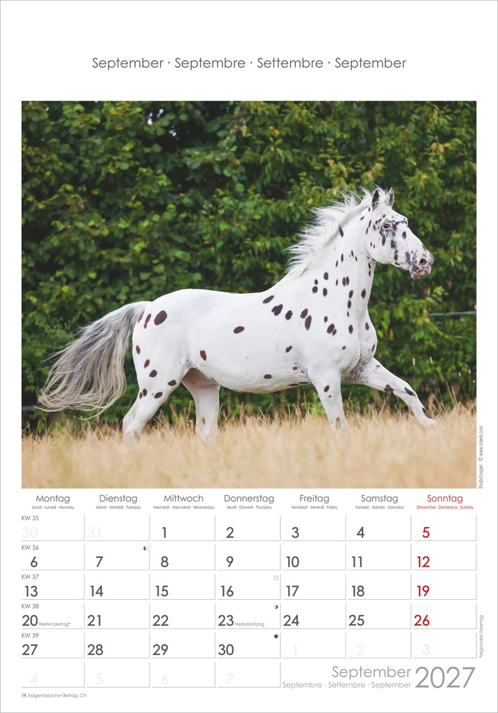 Weitere Ansicht: Pferde 2027 | Neumann Verlage GmbH & Co. KG