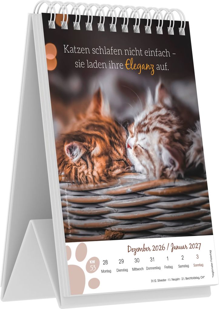 Weitere Ansicht: Katzenglück 2027 | Neumann Verlage GmbH & Co. KG