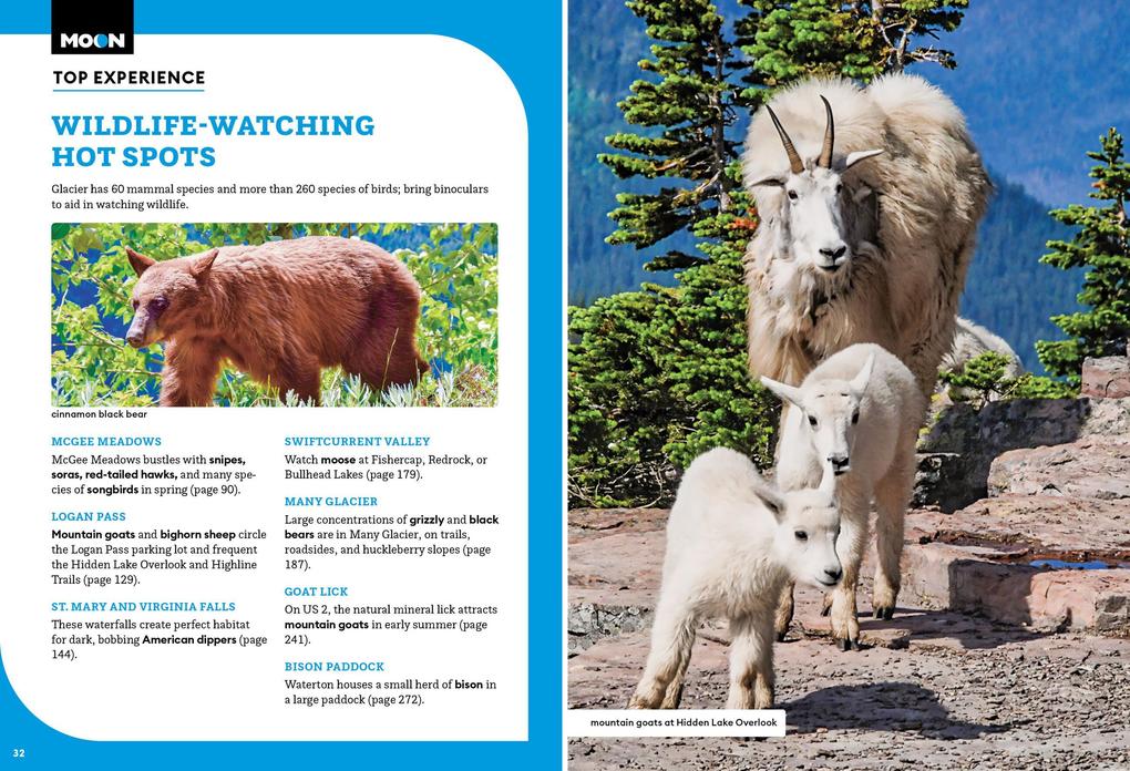 Weitere Ansicht: Moon Glacier National Park | Becky Lomax