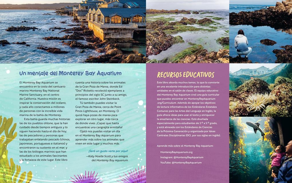 Weitere Ansicht: Lo Que Pasa Dentro de Una Poza de Marea | Monterey Bay Aquarium, Katy Scott