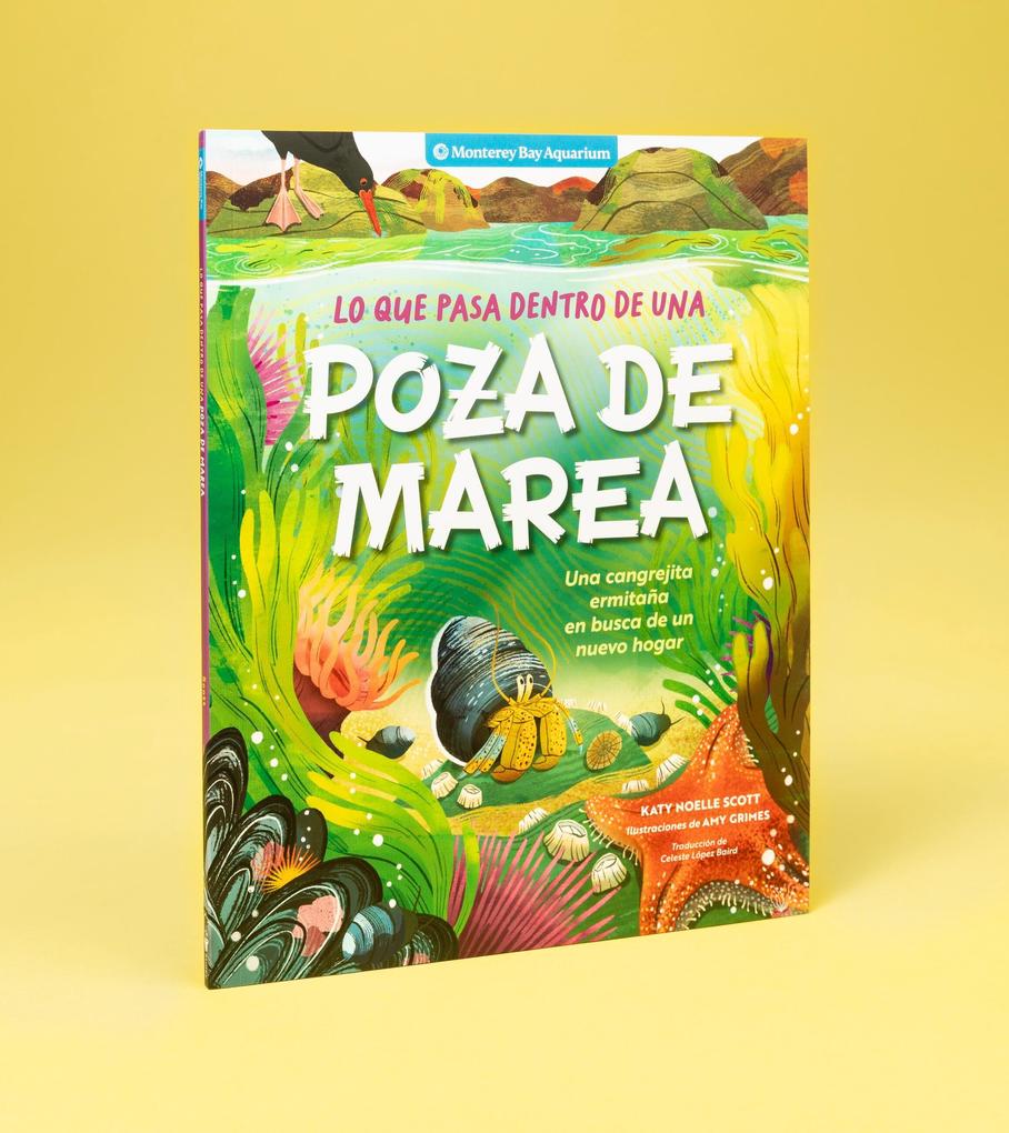 Weitere Ansicht: Lo Que Pasa Dentro de Una Poza de Marea | Monterey Bay Aquarium, Katy Scott