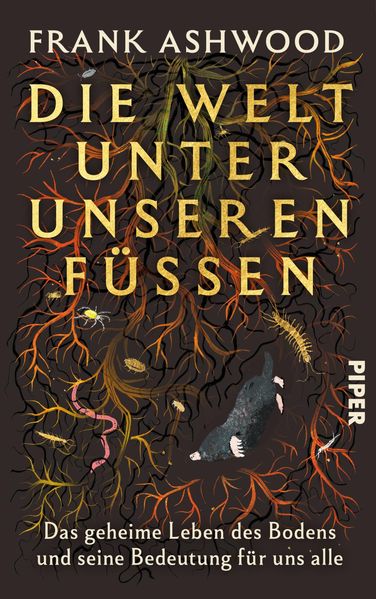 Produktbild: Die Welt unter unseren Füßen | Frank Ashwood