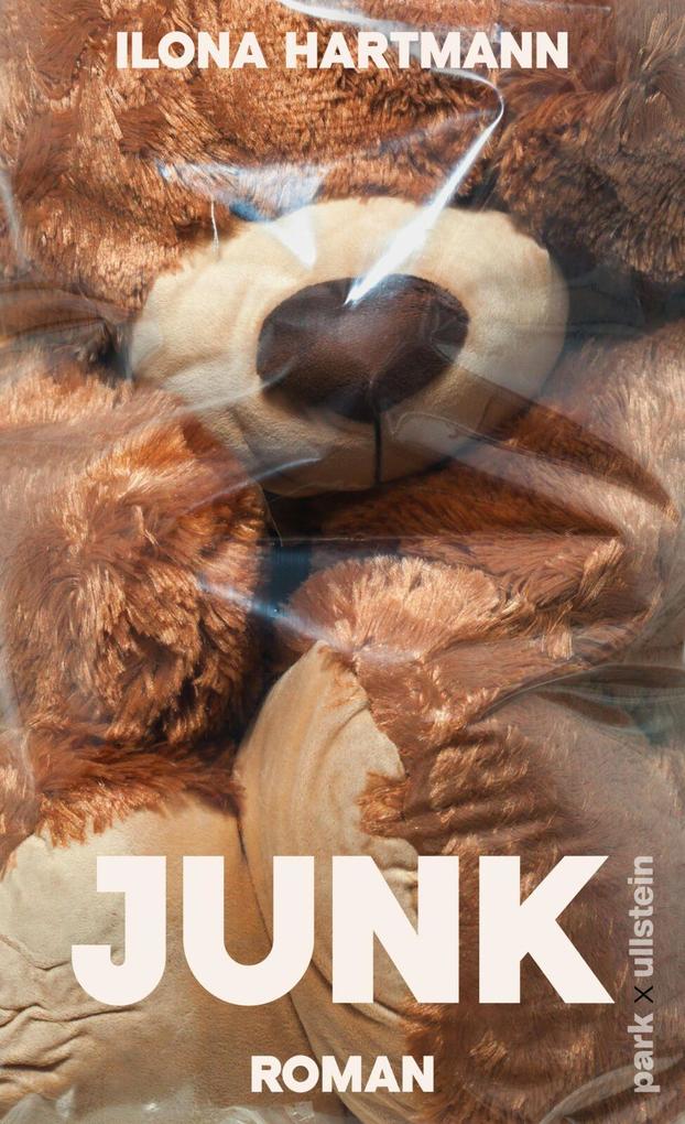 Produktbild: Junk | Ilona Hartmann
