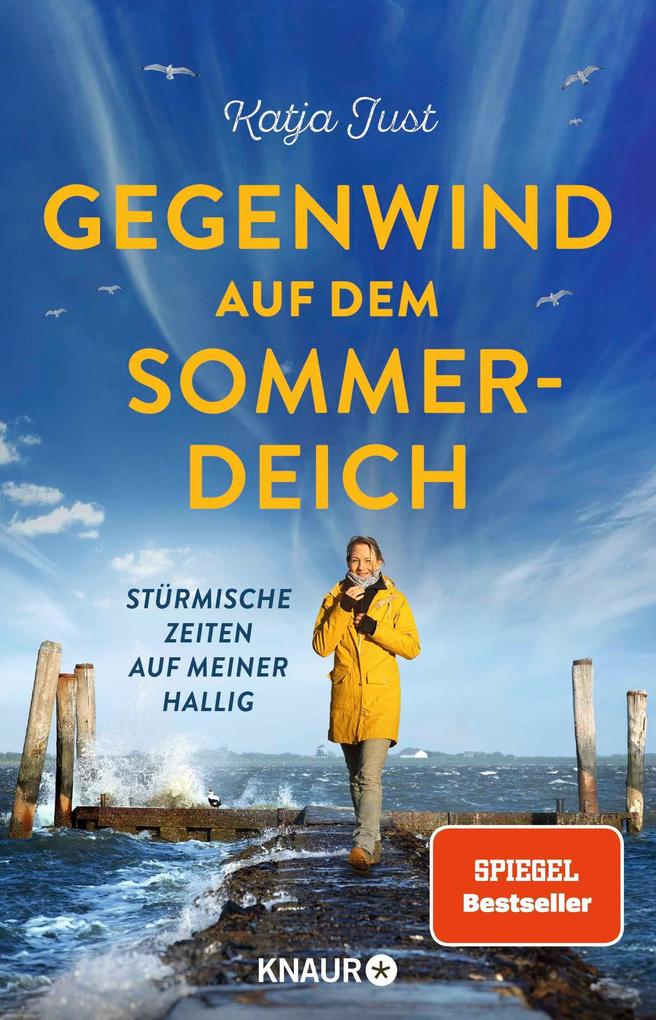 Produktbild: Gegenwind auf dem Sommerdeich | Katja Just